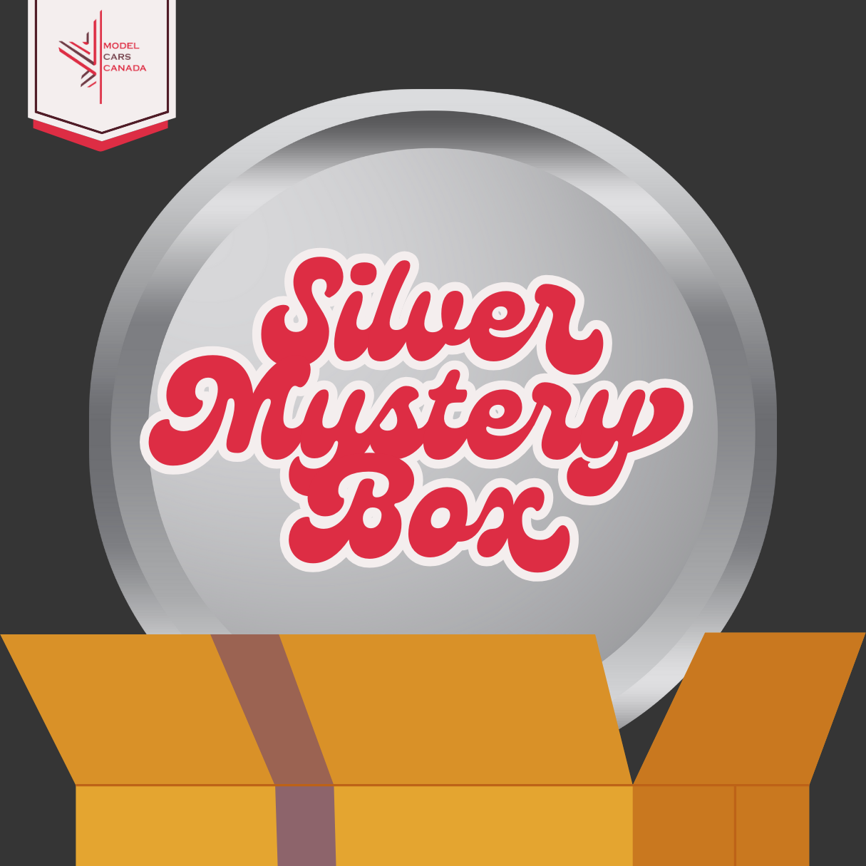 Silver Mystery Box